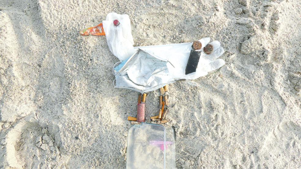 Die leider nicht so seltene Gattung der »Plastikmöwe«: Kreative Fotoideen wie diese werden gesucht.  © Foto: Hohmanngraf