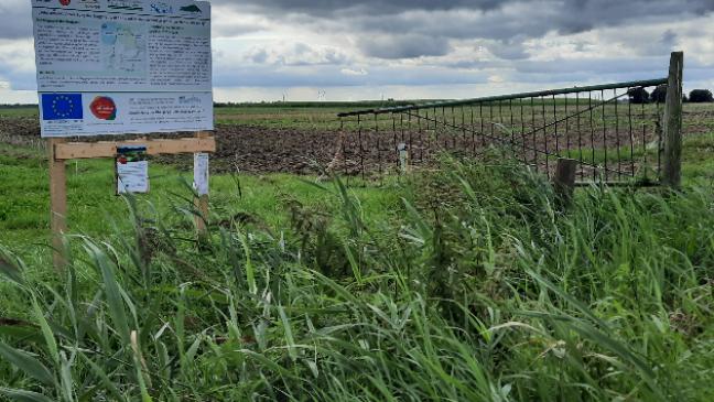 Schlick-Projekt erreicht Etappenziel