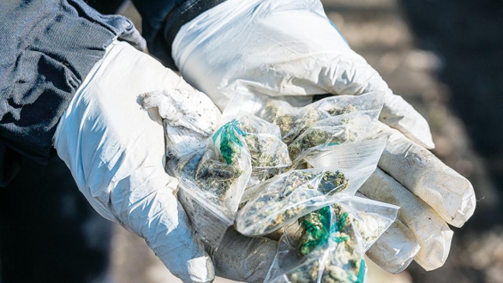 Bei den meisten Drogenfunden wurde Marihuana sichergestellt.  © Symbolfoto: dpa
