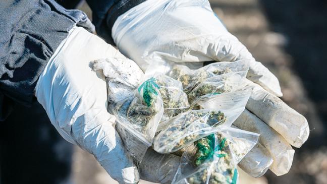 Mehr Drogen wegen Corona gefunden