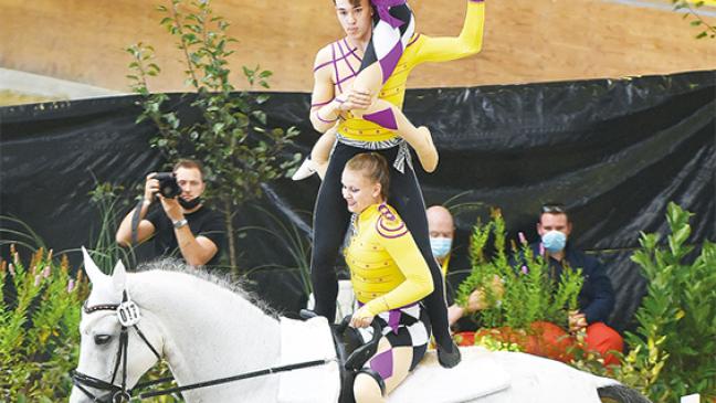 Oldenburger voltigieren mit Queen-Kür zu Gold