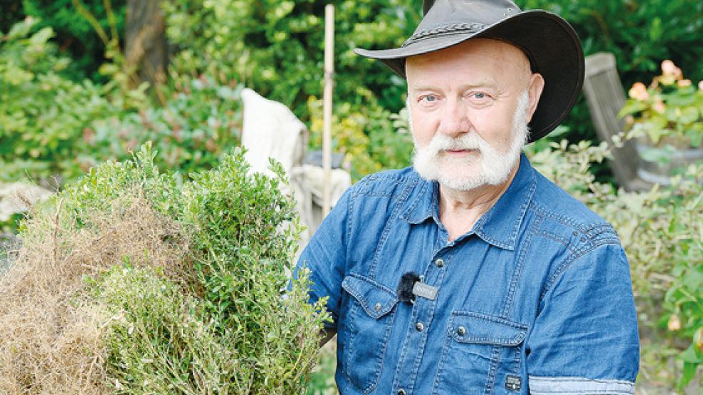 Ein trauriger Anblick: Heyo Kuil mit einer abgestorbenen Buchsbaum-Pflanze.  © Foto: Bruins