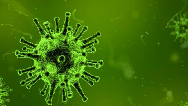 Weniger aktive Corona-Fälle in Weener