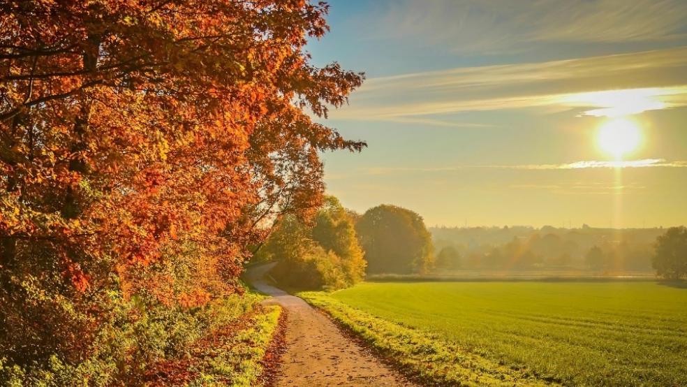 Der September war mit einer Durchschnittstemperatur von 15,57 Grad Celsius wärmer als normal.  © pixabay