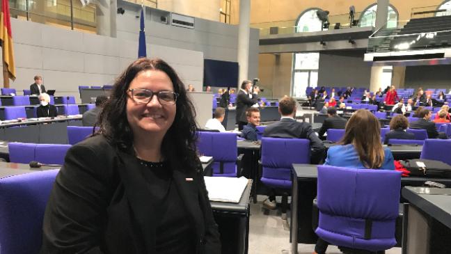 Neulinge unter der Kuppel