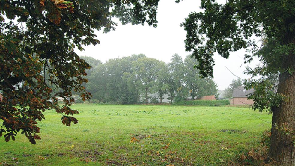 An der Dorfstraße in Stapelmoorerheide sollen jetzt auf dieser Grünfläche zwei Einfamilienhäuser und zwei Reihenhäuser gebaut werden.  © Foto: Hoegen