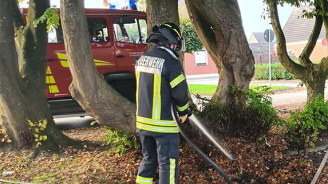 Laub geriet in Brand