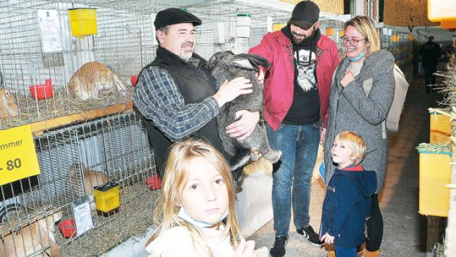 Kaninchenschau ein Neustart
