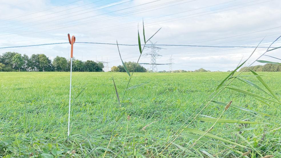 Hier in Stapelmoor (gegenüber der Grundschule) soll das neue Feuerwehrgerätehaus gebaut werden - wenn der Rat heute dem Grundstückskauf zustimmt.  © Foto: Boelmann