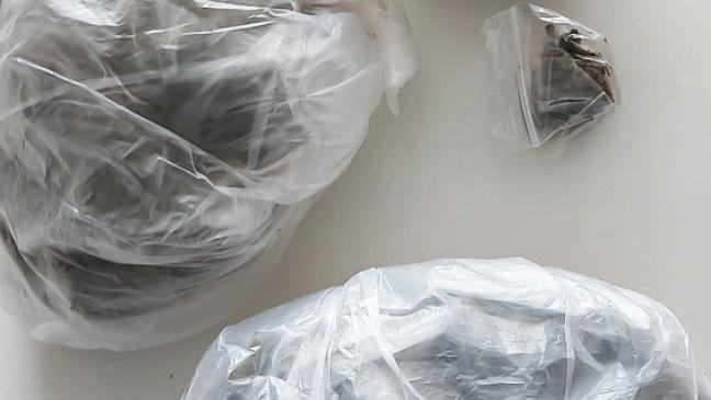 Drogenschmuggel endet an Fähre