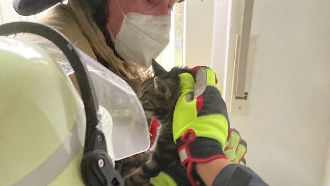 Feuerwehr befreit Katze aus Schornstein