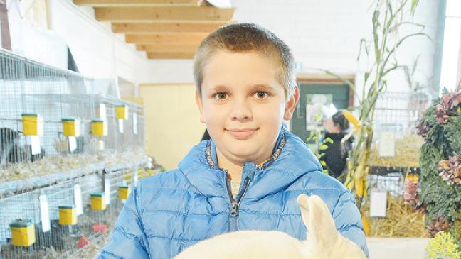 Phillip Westermann hat die beste Zuchtgruppe