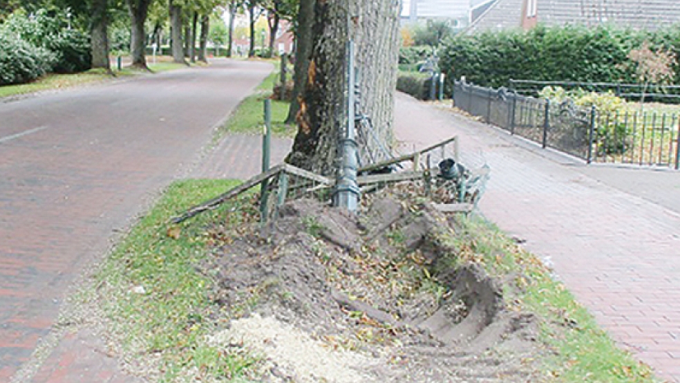 Die breite Reifenspur zeigt: Offenbar hat in Traktor eine Straßenlaterne an der Kirchstraße in Wymeer umgefahren und ist danach gegen einen Baum geprallt.  © Foto: Polizei