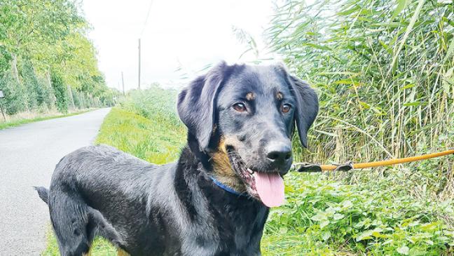 »Sie kommt mit allen gut aus«