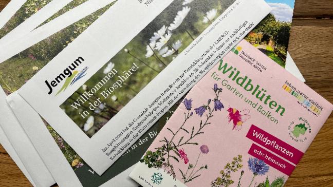 Wildblüten-Inseln für die Biosphäre
