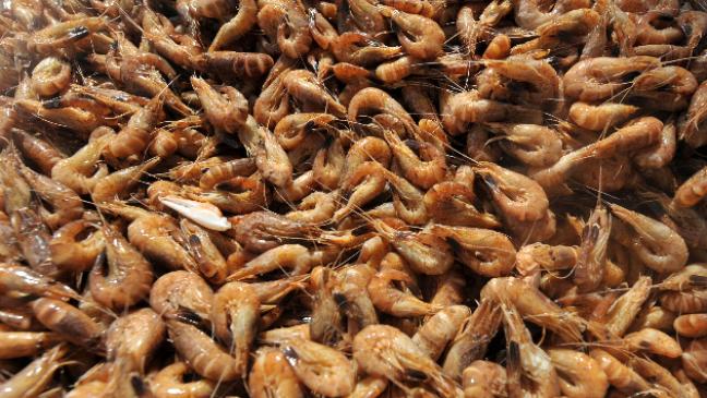 Krabbenkutter mit Schlagseite