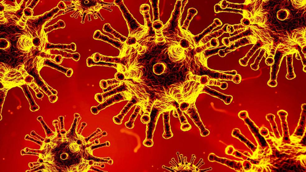 91 neue Corona-Fälle verzeichnet der Kreis Leer übers Wochenende. Am Mittwoch gelten verschärfte Regeln.  © Foto: pixabay