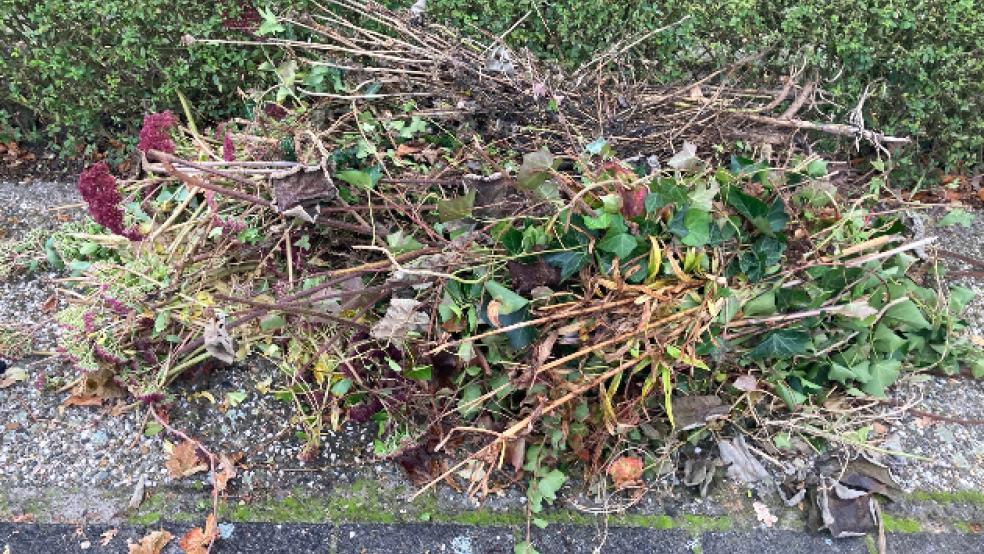 Viele Rheiderländer nutzten wieder die Baum- und Strauchabfuhr.  © Boelmann