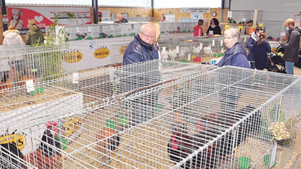 Die Käfige mit dem Rassegeflügel stießen bei den Besuchern auf großes Interesse.  © Foto: Wolters