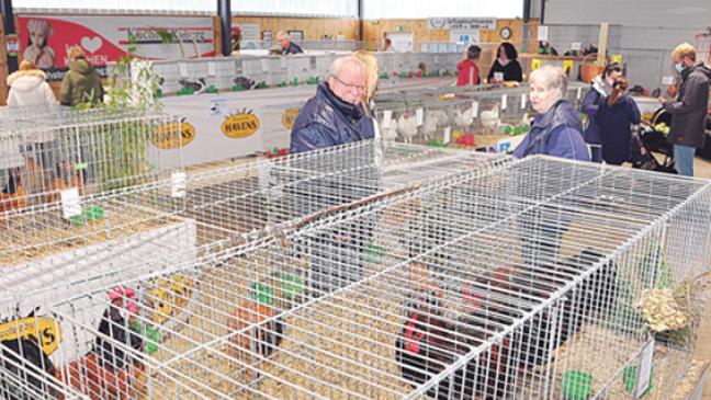 Volieren ziehen Blicke an