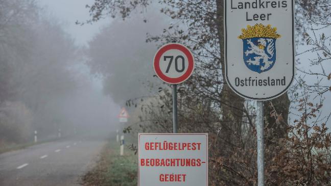 Landkreis Leer warnt vor Geflügelpest