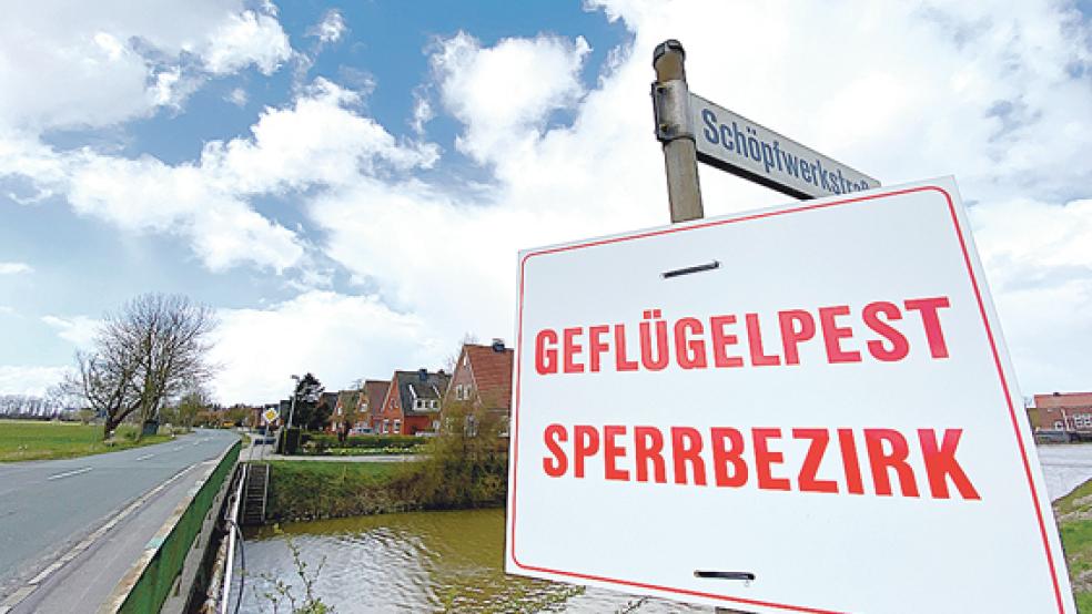 Auch Teile der Gemeinde Jemgum gehören wieder zur Überwachungszone.  © Archivfoto: Hanken