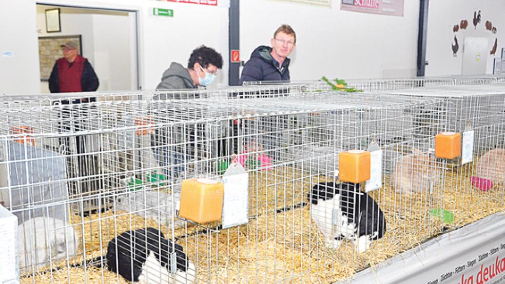 In Nüttermoor wurde eine Lokalschau mit über 170 Kaninchen veranstaltet.  © Foto: Wolters