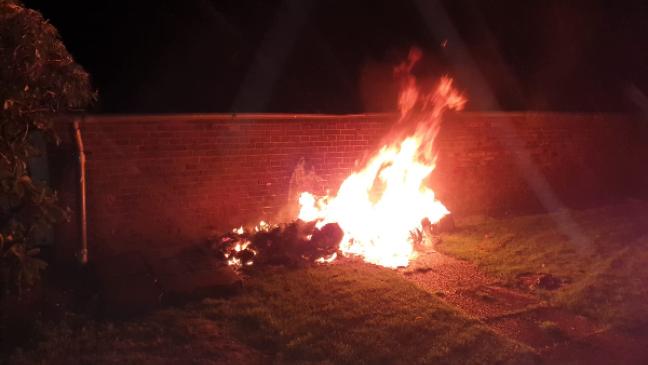 Hund rettet Hausbewohnerin das Leben