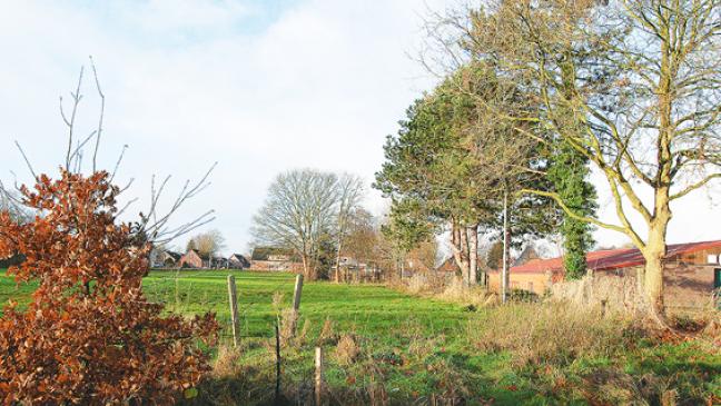 Plan »längst noch nicht in Stein gemeißelt«