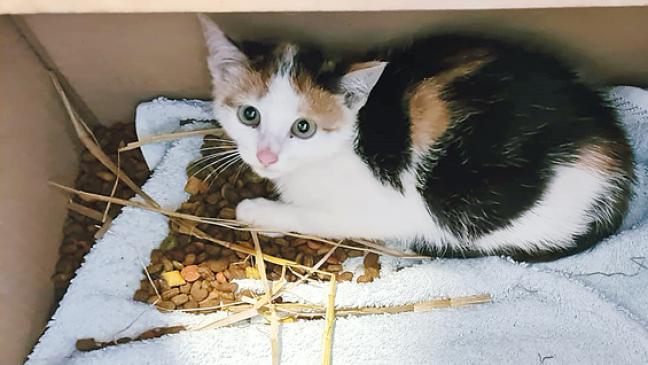 »Wir können viel Elend verhindern«