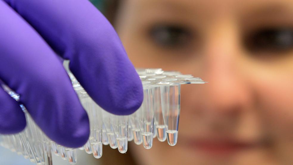 Bisher fünf Proben aus dem Landkreis Leer wurden in diesem Jahr im Labor des Landesamtes für Verbraucherschutz und Lebensmittelsicherheit untersucht.  © Foto: dpa/Carmen Jaspersen