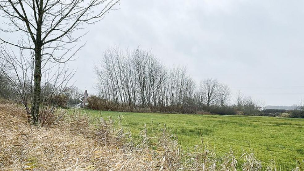 Auf dieser Fläche in Grotegaste soll der Indoor-Spielpark entstehen. Im Hintergrund (links) ist die große Rutsche des Mehrgenerationen-Spielplatzes zu sehen.  © Foto: Ammermann