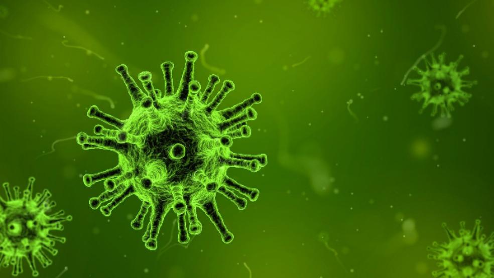 Die Omikron-Variante des Coronavirus hat nun auch den Landkreis Leer erreicht. © Foto: pixabay