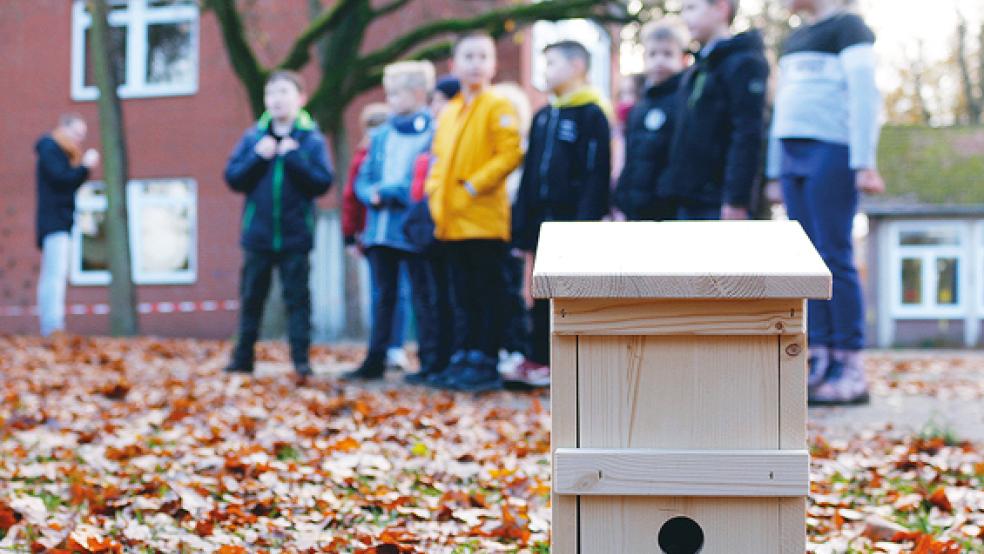 Solche Meisenkästen können zukünftig gegen den Eichenprozessionsspinner helfen.  © Foto: Stadt Papenburg