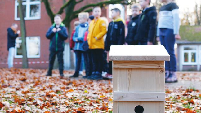 Meisen im Einsatz gegen giftige Raupen