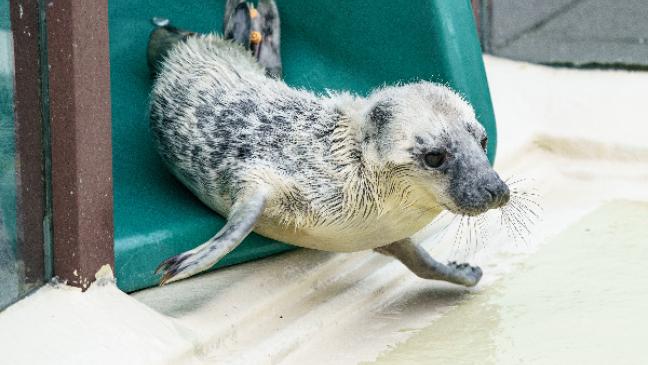 Wirtschaftlich nicht einfach