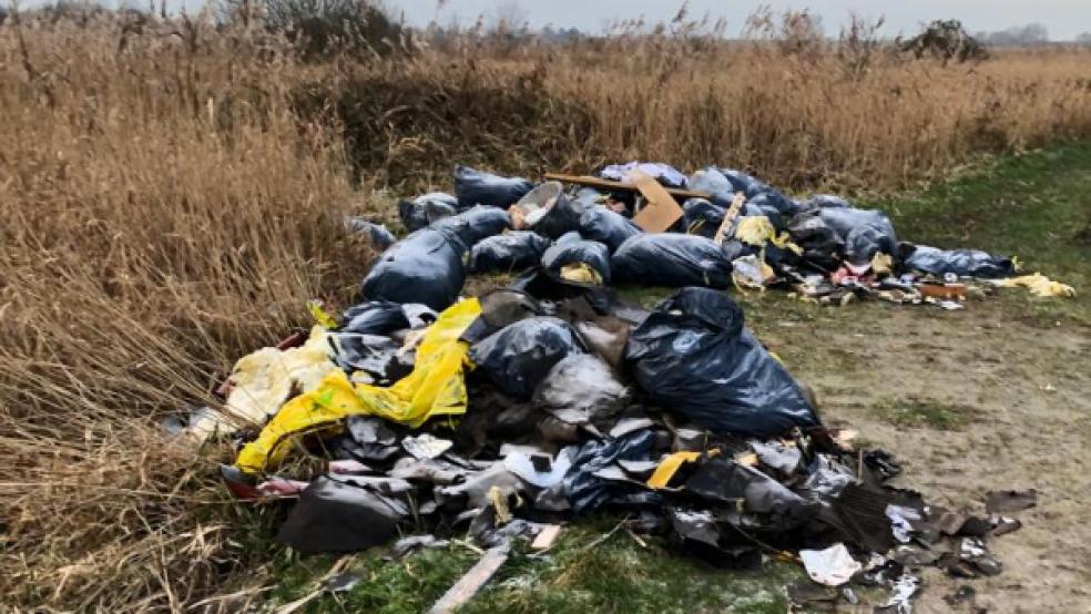 Unter den abgeladenen Gegenständen befinden sich auch Dachpappen und Dämmwolle, die als Sondermüll behandelt werden müssen.  © Foto: Stadtwerke Leer