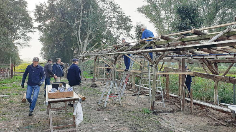Bei der Restaurierung des historischen Melkstandes in Weenermoor haben die Mitglieder des Heimatkundlichen Arbeitskreises viel Eigenleistung investiert.  © Foto: privat