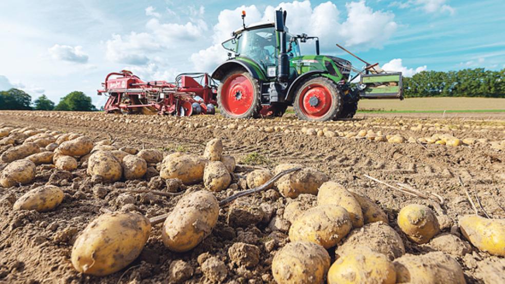 Cem Özdemir (Foto oben rechts) will als neuer Bundeslandwirtschaftsminister die Situation der Bauern auch im Landkreis Leer deutlich verbessern.  © Fotos: dpa (Nietfeld, Schulze) & Berents