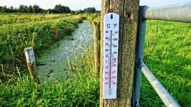 Jemgum will sich Klimaziele setzen