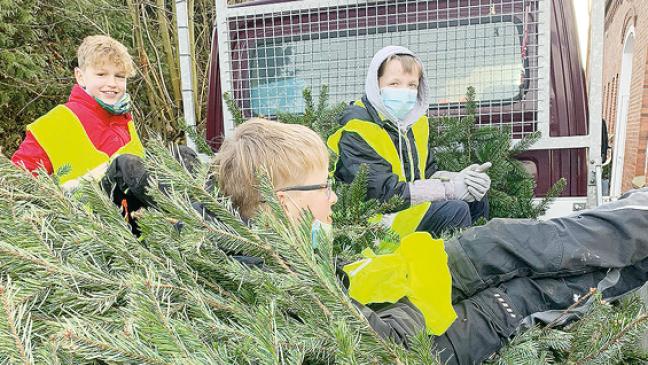 Sternschnuppen für guten Zweck
