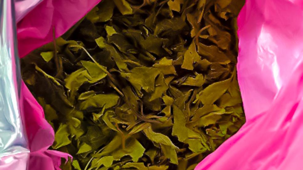 Khat wird hauptsächlich in Äthiopien, Kenia, Jemen und dem Oman angebaut und konsumiert. © Foto: Zoll