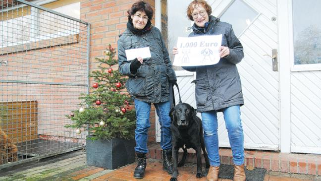 1000 Euro für das Tierheim