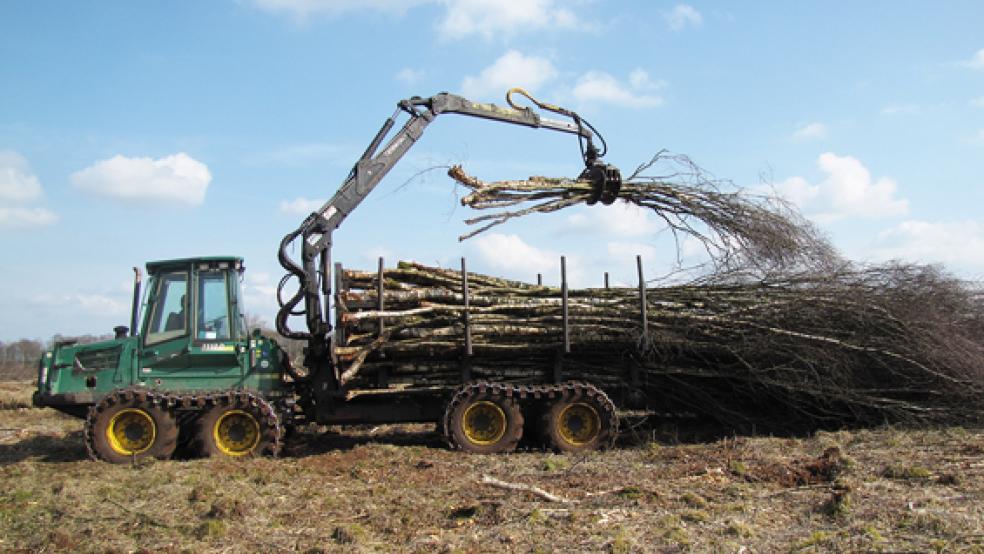 Im »Püttenbollen« in Weener soll der moortypische Charakter einer Flächen erneuert werden.  © Foto: Landkreis Leer