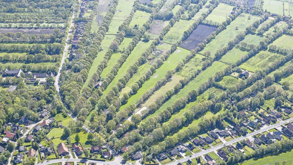 In Ihren gibt es in der Gemeinde Westoverledingen noch Wallhecken, auf die Bewohner sehr stolz sind. Der Landkreis Leer will sie als Kulturlandschaften in das Landes-Raumordnungsprogramm mit aufnehmen.  © Foto: Hartmut Manitzke/Gemeinde Westoverledingen