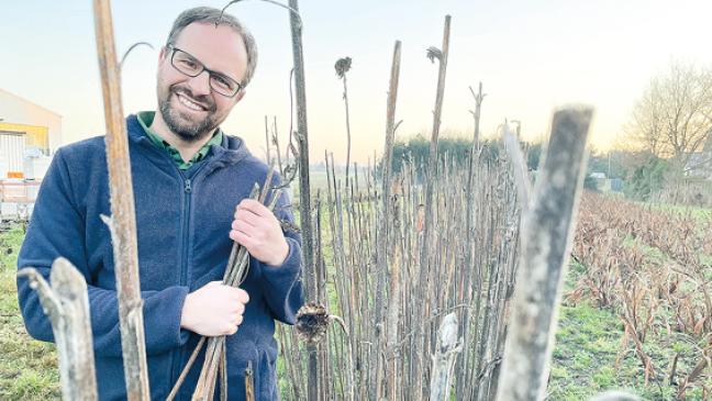 Felix Schary bietet Gemüsegärten zur Miete an