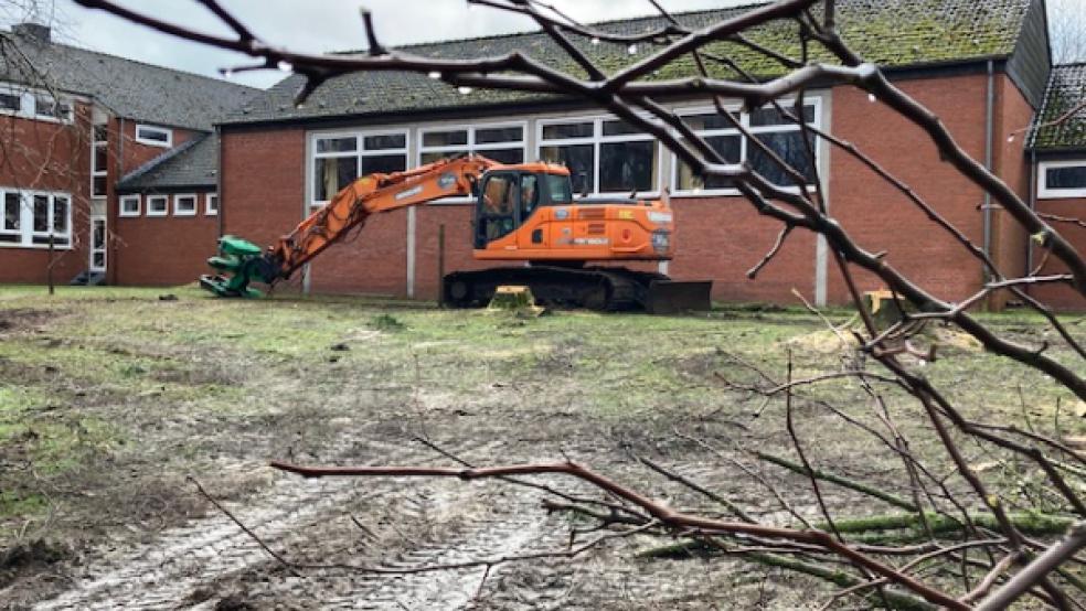 An der Grundschule in Stapelmoor mussten Sträucher und auch Bäume entfernt werden.  © Foto: Foto: Boelmann