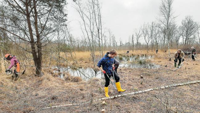 Hilfe für Kreuzottern