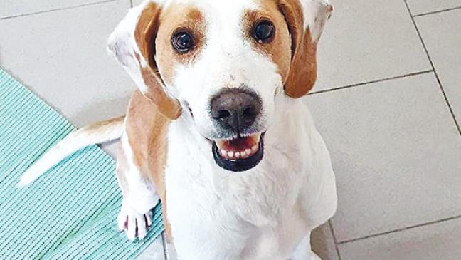 Jungspund sucht ein neues Heim