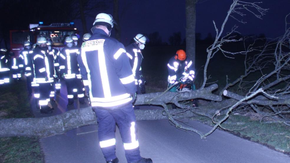 Die Feuerwehr Weenermoor wurde am Samstag um 17.12 Uhr zu einem Hilfeleistungseinsatz alarmiert, weil ein Baum auf den Geiseweg in Weener gestürzt war und die komplette Fahrbahn blockierte. © Foto: Feuerwehr